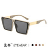 Fashionable trend sunglasses, glasses, 2023 collection