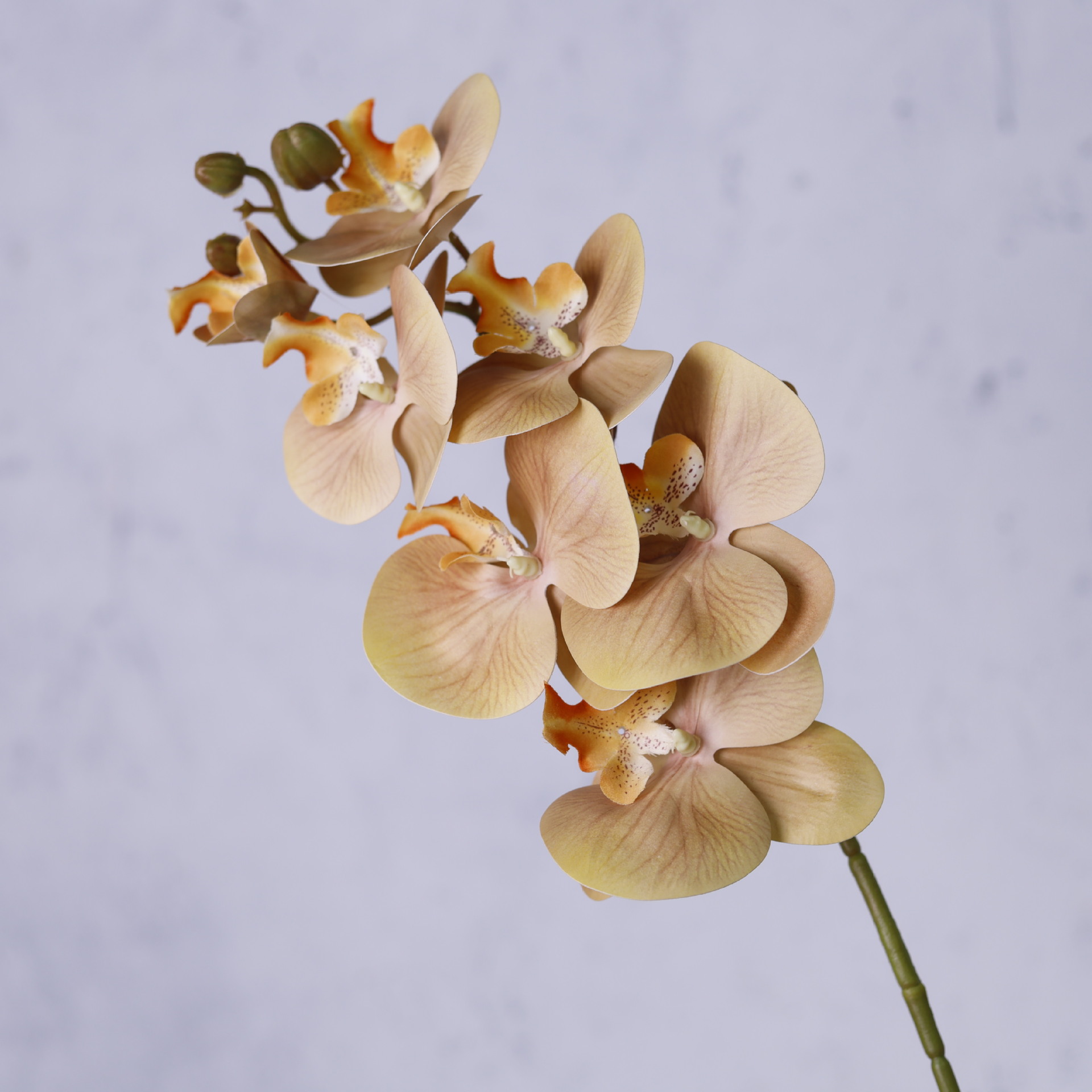 Impresión 3D de 7 cabezas de orquídeas mariposa flor de decoración de flores de alto nivel flor de nicho decoración floral decoración de sala de estar