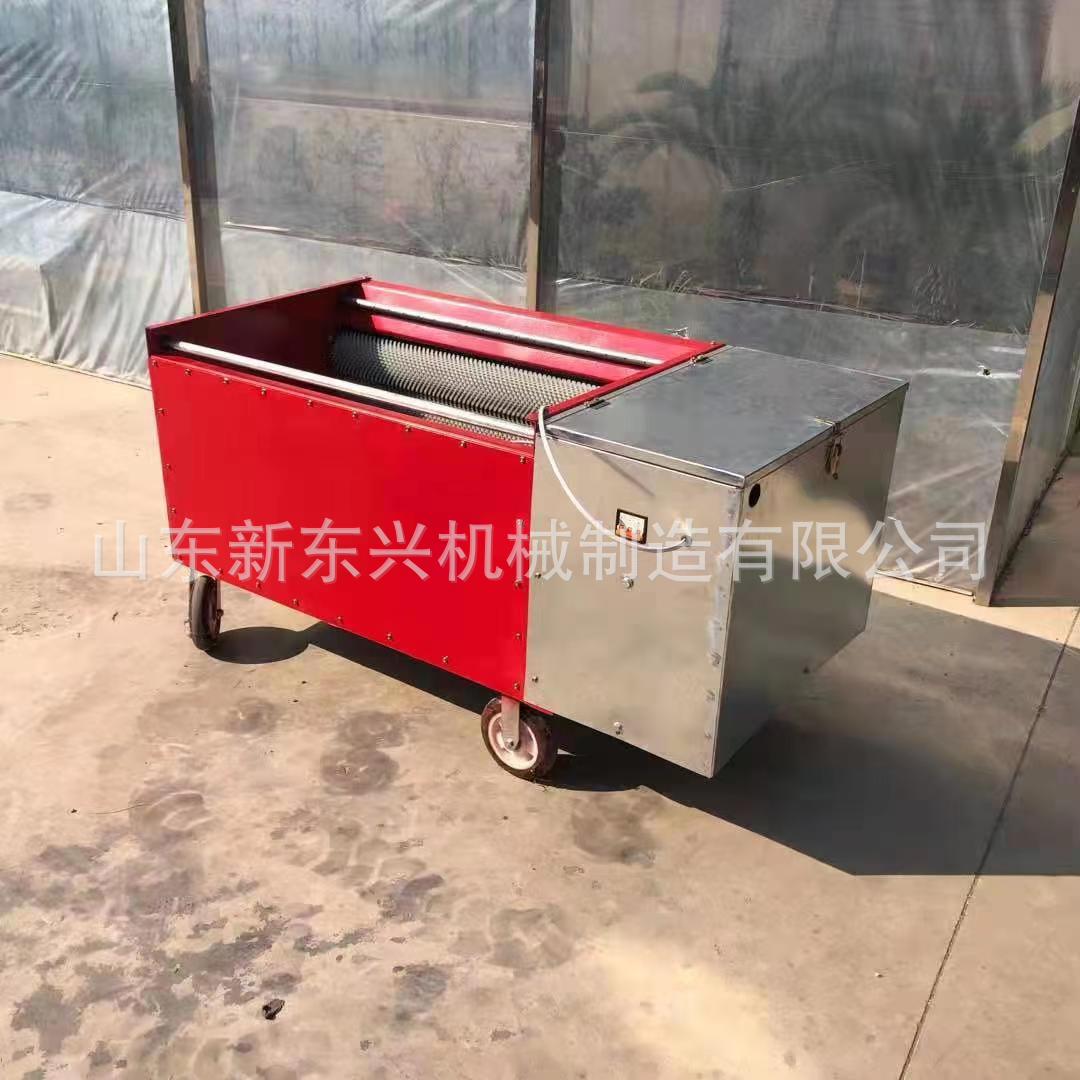 青核桃剥壳机 核桃脱皮清洗一体机 核桃脱皮机