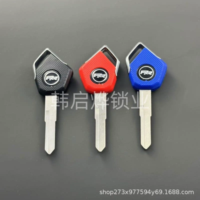 Embryo Chip — Motorcycle Key