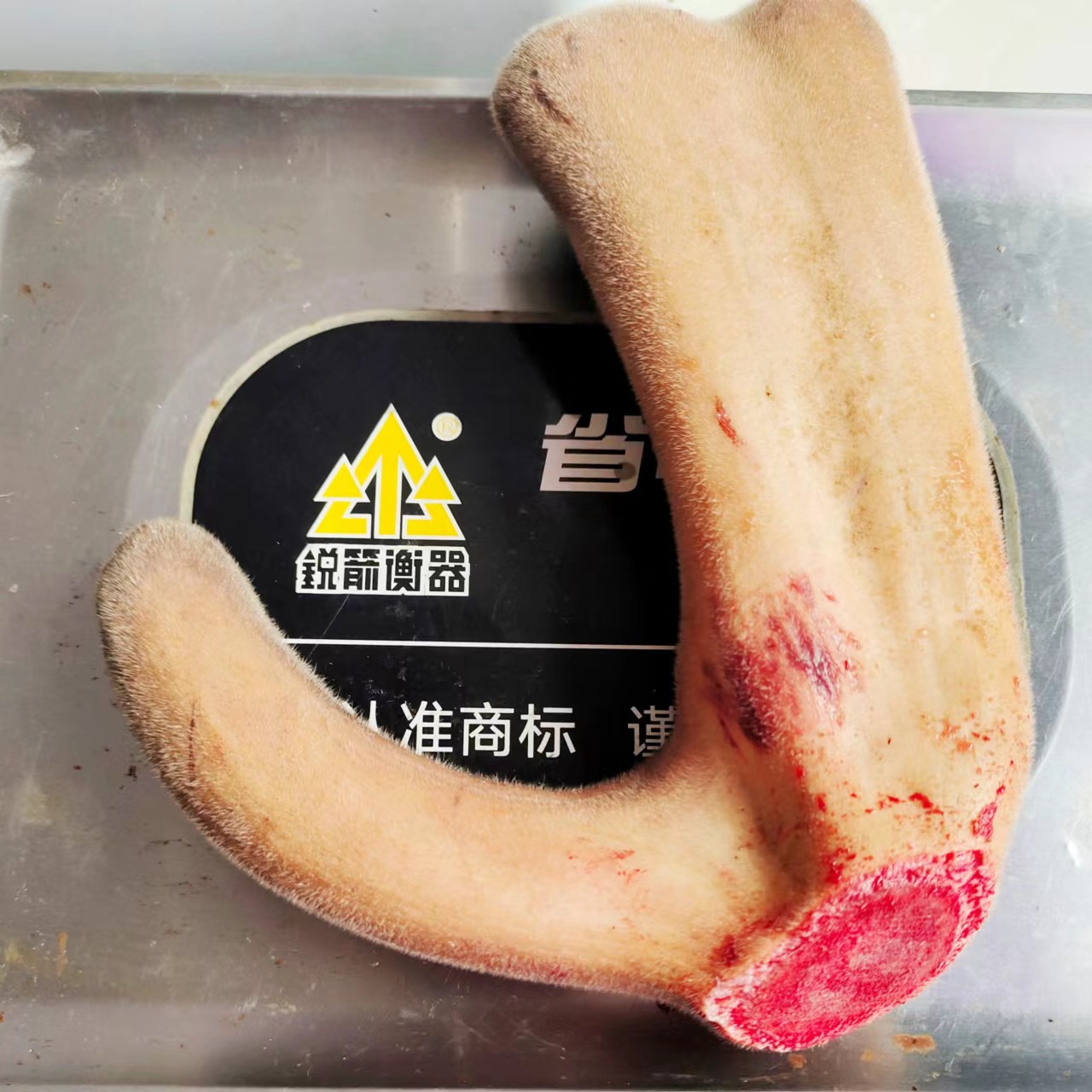 538b48015baadb0fb65fdcde86ea34