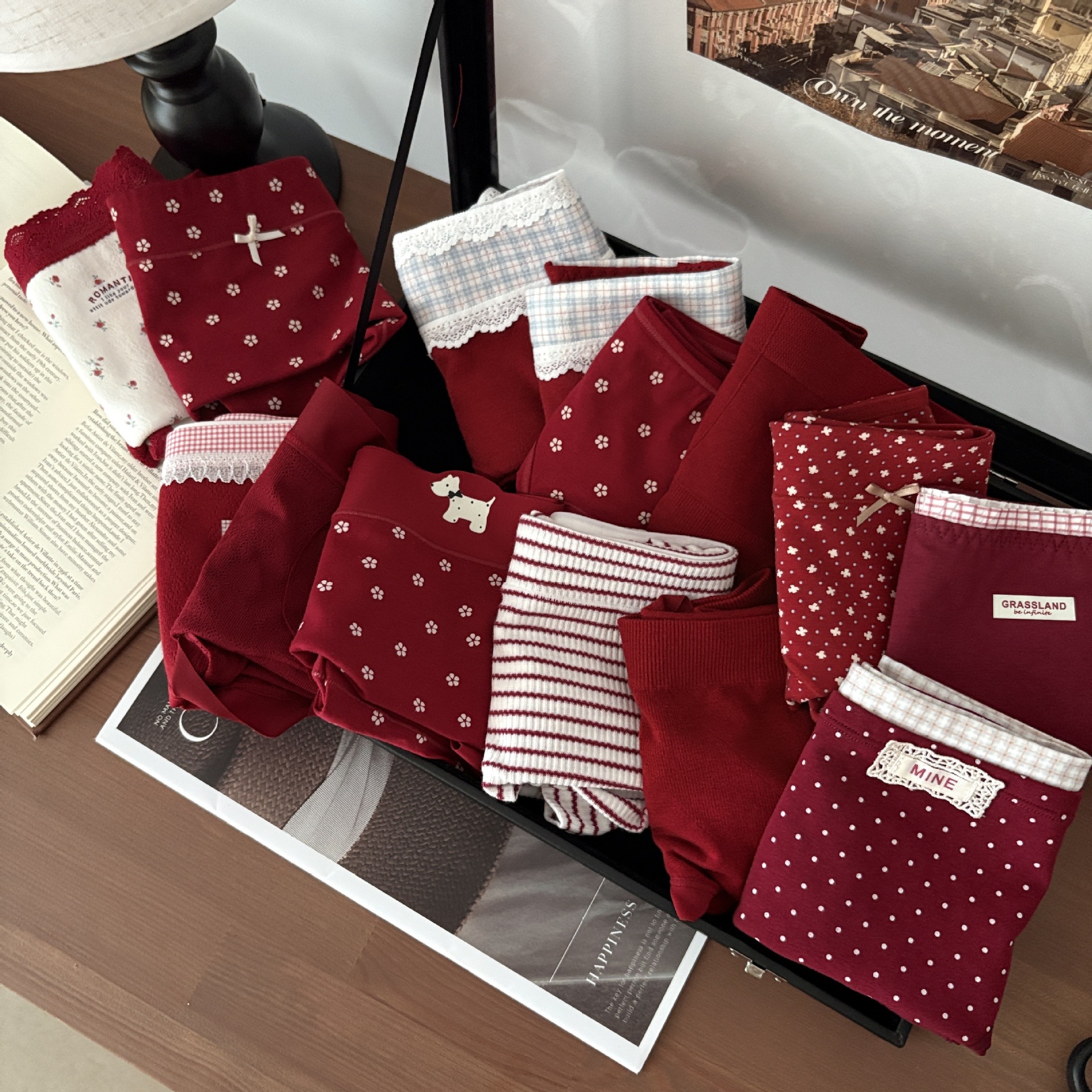 2025 Zodiac Red Collection Family Portrait Full Scene Classic Red Combination Girls Underwear Festive Red Underwear