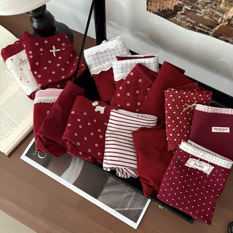2025 Zodiac Red Collection Family Portrait Full Scene Classic Red Combination Girls Underwear Festive Red Underwear