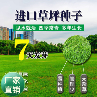 ��ƺ�N���ļ��಻�޼����Ѻ������R����ͥԺ�e����Ƥ�N���o�¾G��