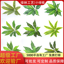 ����ֲ��Gֲ���廨�b����ާ��~��9������B��ާ�~�f����