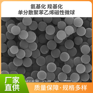单分散聚苯乙烯磁性微球 PS微米/纳米磁性微球-阿里巴巴
