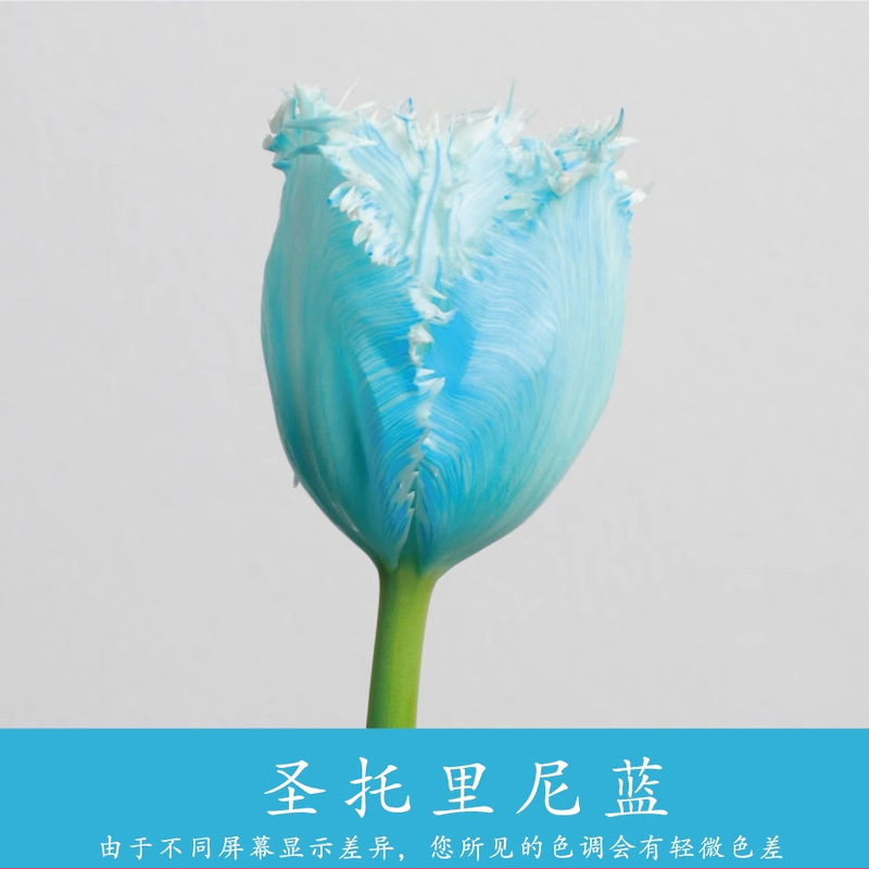 450ml agente de color de flores al por mayor pintura en aerosol de secado rápido agente de teñido de rosas de color floristería arte floral pintura en aerosol nacarada