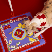 V-PET�h������ϵ��-�Ї��r�v����-��|-�錢/��/�����������