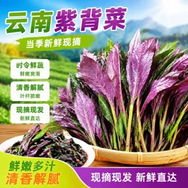 其他蔬菜;瓜果类;其他蔬菜制品