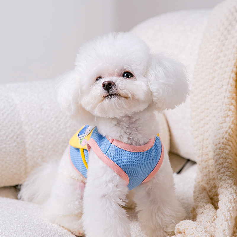 Verano lindo cachorro mochila lindo pequeño animal Satchel chaleco gato ropa de dos patas ropa de perro de peluche para mascotas