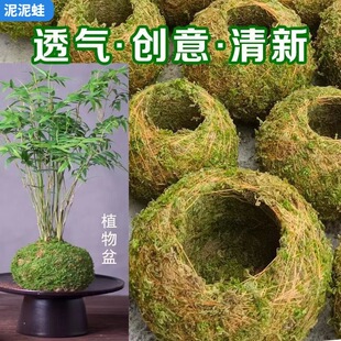 ̦�\���⻨������mʯ���m����Nֲ����΢���^��̦���ԾGֲ����