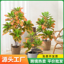 ���ͷ���Gֲ׃ɫľ�����żپGֲ�����߲�׃�~ľ�҃ȿ͏d�b����l