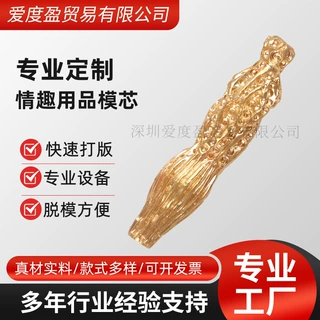 子宫飞机杯阴臀倒模模具通道 铜模模芯 定制性玩具阴道飞机杯模芯