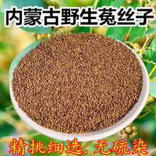 ɹҰ˽zșýzӾxݲݾƿɴSζ