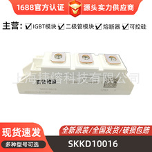 SKKD10016  SKKE330F17  ���ʶ�����ģ�� ������ �������