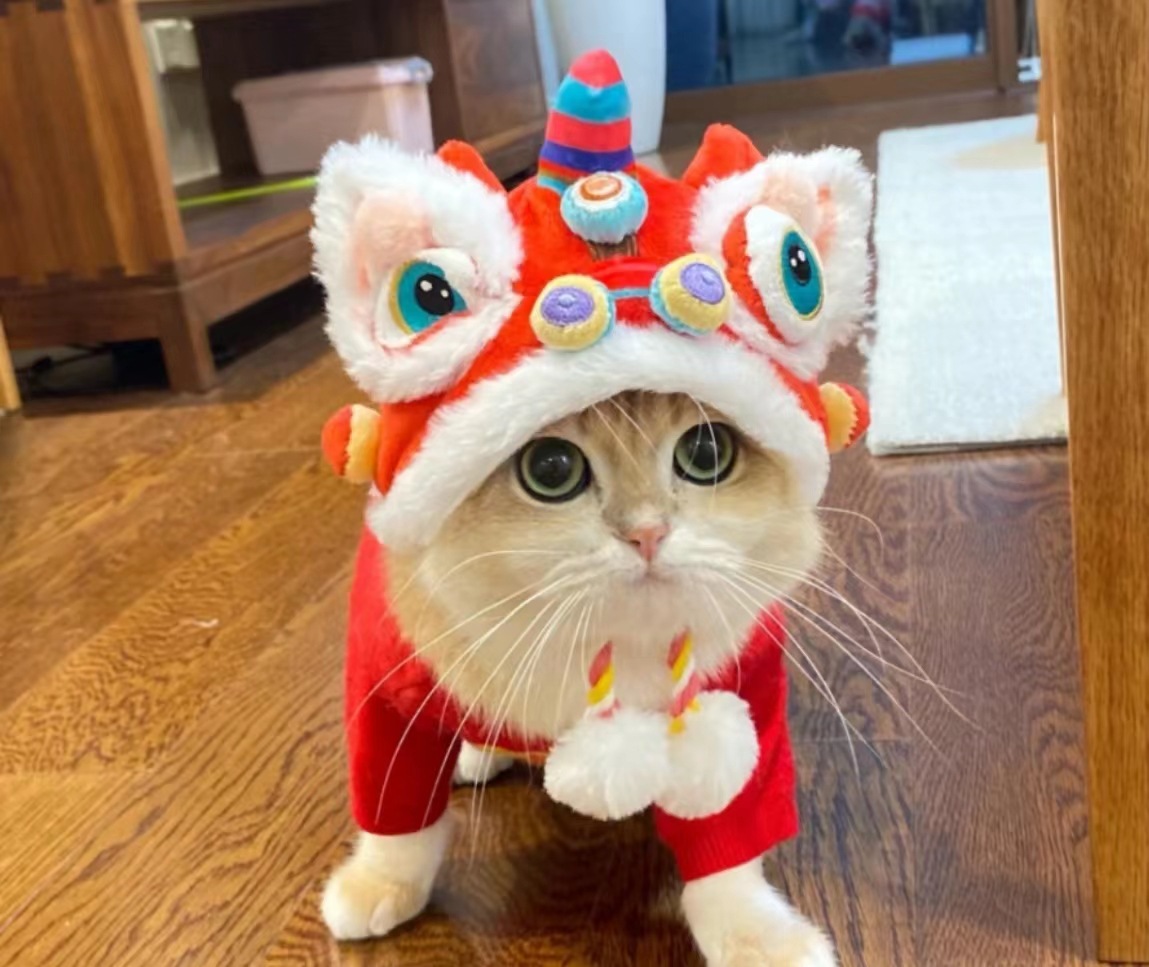 Mascota sombrero perro gato mi Año Nuevo León danza deshilachado sombrero otoño e invierno cálido tocado festivo suministros