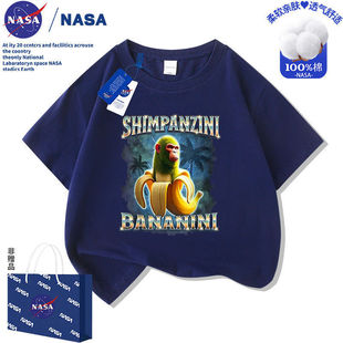 NASA����ɽ�����㽶����Ůͯ�b����t���¿����³���������b