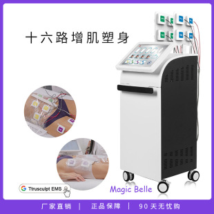 Vertical EMS Microelectric Sixteen-way Patch Abdominal Muscle Exercise Muscle Gaining Peach Butt Beauty Salon Fat Reduction Instrument