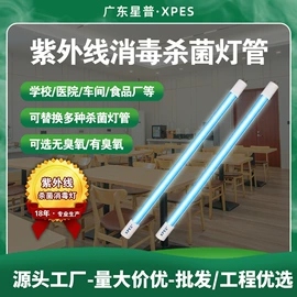 杀菌灯管;镇流器;水杀菌消毒