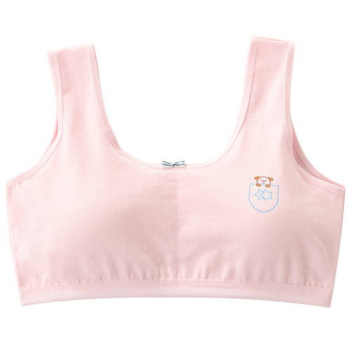 Girls underwear girls underwear development period 10-16 years old small vest cotton junior high school student anti-exposure bra double layer cotton