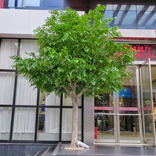 Řͼ٘SƵ҃쾰Gֲbc