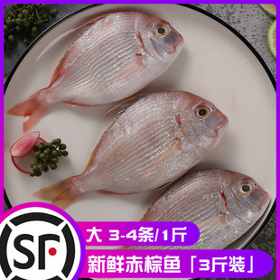 ʮ��𒱾�ۺ������R�~���r�����rˮ�a���طۼt��������3���