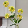 5-headed Jialan lily