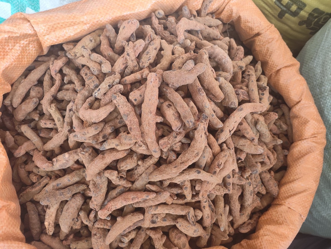Xue San Qi (Blood Panax) — Dried Herbal Root, 250g Powder-Grade key features