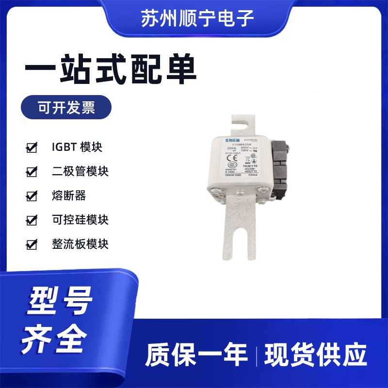 170M4259  170M4260  170M4261  170M4262  170M4263熔断器保险丝