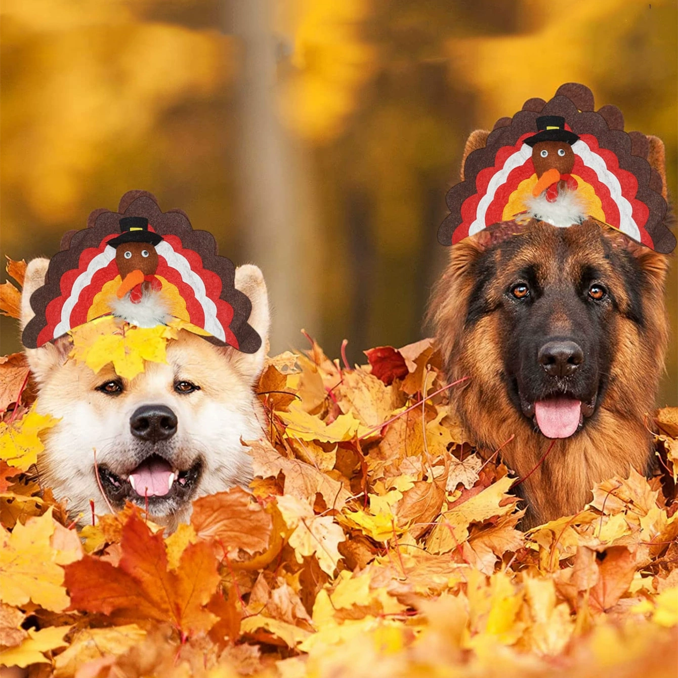 Домашние животные День благодарения индейки шапки для волос Тедди собака одеваются головные уборы кошачьи головные уборы