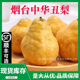 ���A����ܛŴ����̨̫�ų�������Ե����rˮ��5����]һ�����l