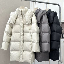 Y6U��q��Ů���L��2025���¿���Ӻ���ܽ�pӯ��ů�Bñ���q�n��