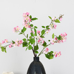 ���溣�Ļ�����ɭϵ�ٻ��Ҿӻ�c��ˇ�[���쾰�b껨�S��ֱ�N