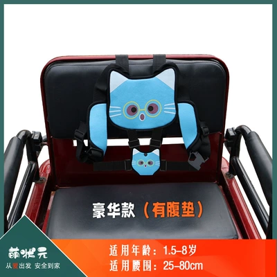 Elderly Electric Car, Motorcycle, Other Automotive Safety Supplies - one-size-fits-all-blue-cat-luxury-model