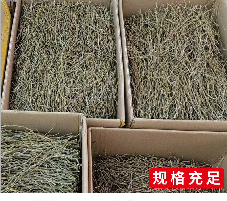 Tie Pi Shi Hu Dried Dendrobium Stems 500g for Tea and Soup in use