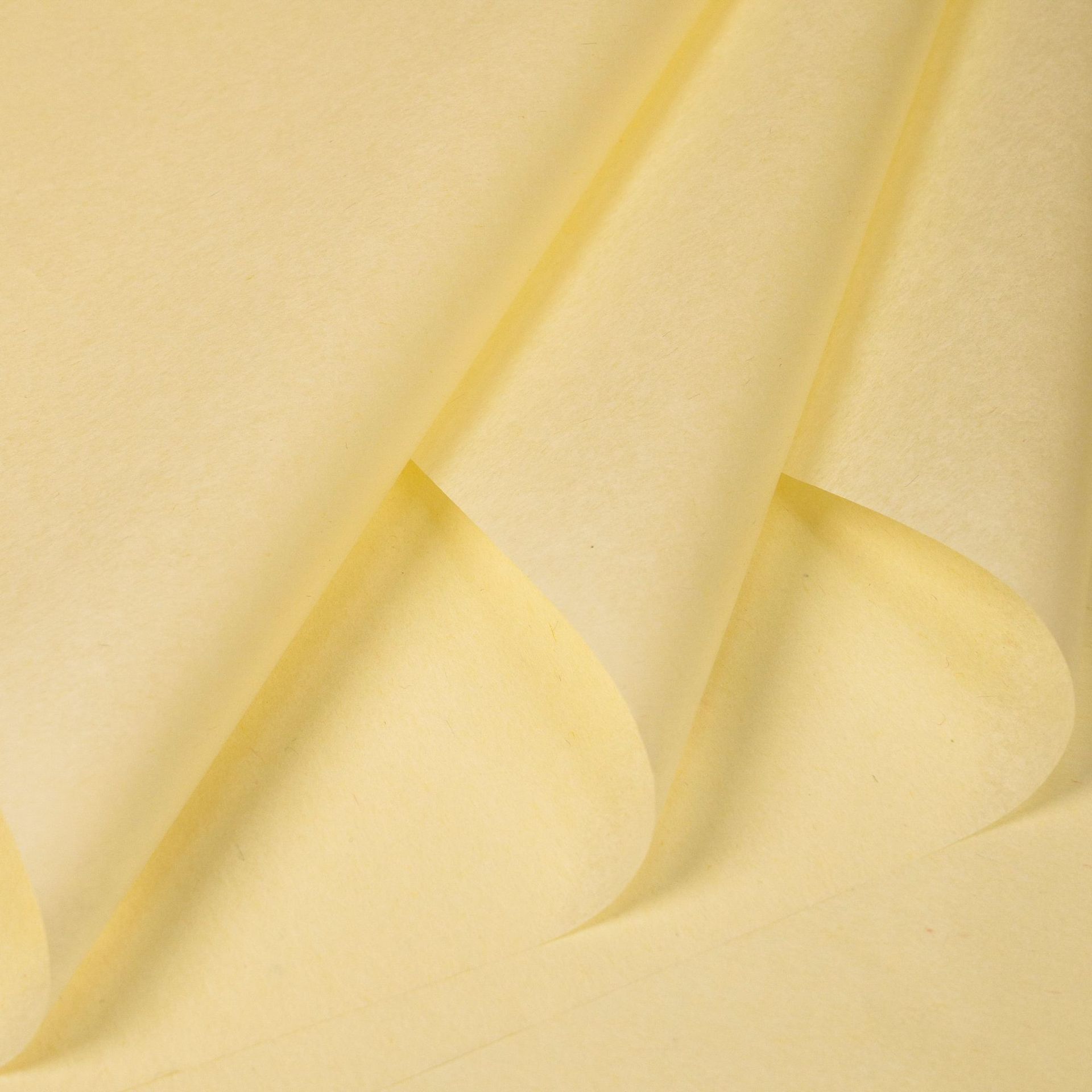 단색 거위 노란색 36 사진