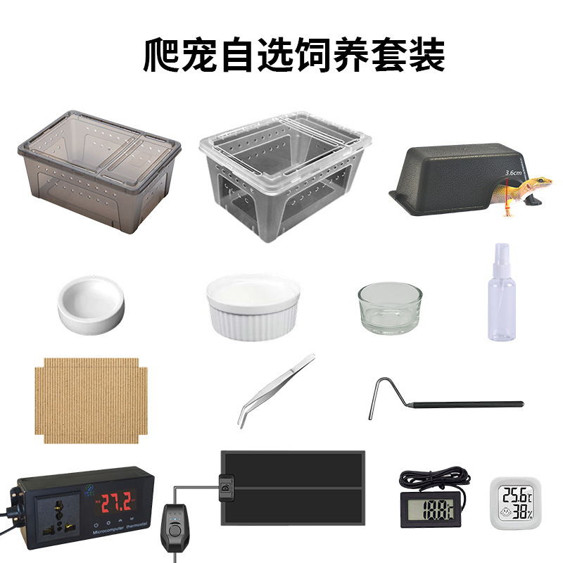Reptile pet self-selection breeding kit: gecko, lizard, pet snake DIY package with terrarium, heating pad, food bowl, and water bowl Reptile pet self-selection breeding kit: gecko, lizard, pet snake DIY package with terrarium, heating pad, food bowl, and water bowl