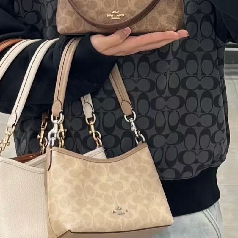 Coco C's 2025 New High-Quality Mini Wandering Fashion Compact and Versatile One-Shoulder Cross-Body Handheld Armpit Bag