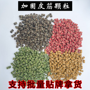 5���b�ڿ�Ұ�Ƥ���w���C�Ͼ���t�x�a���~���~��������A���w��