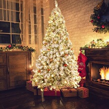 M 72576 LED Christmas Tree String Lights ʥ�����ƴ� �羳