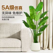 ���W����Gֲ�����B����ֲ�����Ԕ[�����˽�����҃ȿ͏d�b��쾰