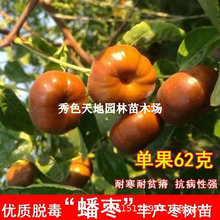 󴗗޽җԵԮYo󴗗Ͷ̓