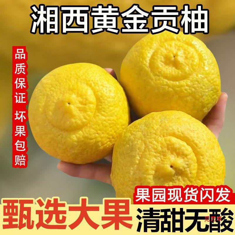 厂家贡柚湖南怀化产当季新鲜象山青柑橘春香小柚子