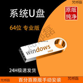 电脑一键安装win11重装系统u盘专业原版纯净7旗舰windows10pe启动
