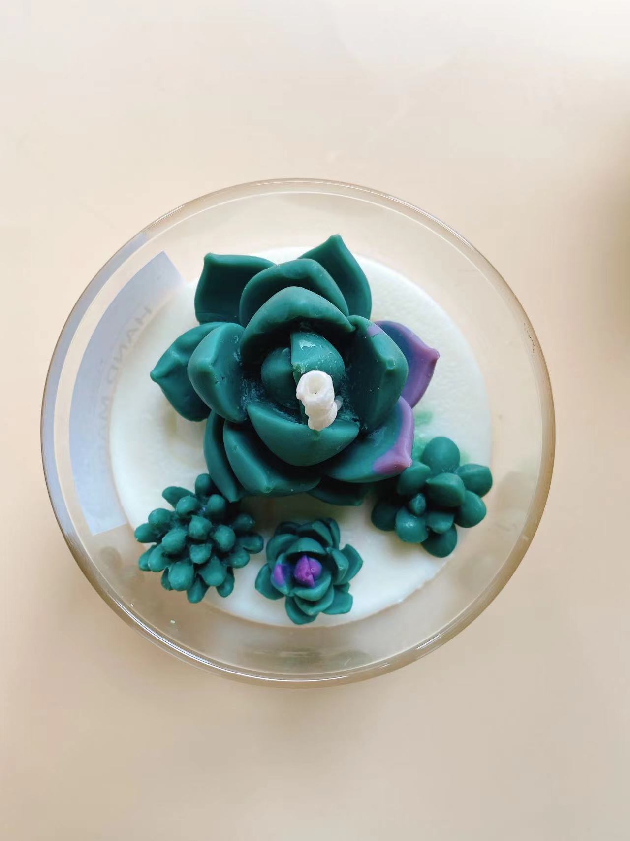 Suculentas cactus colección aromaterapia vela decoración de interior regalo cumpleaños