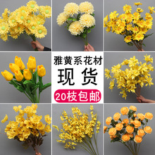 ���Sɫϵ��c���滨��Y�û��ı����b�ˇ·����픲廨ӆ���Ż�