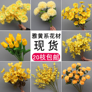 ���Sɫϵ��c���滨��Y�û��ı����b�ˇ·����픲廨ӆ���Ż�