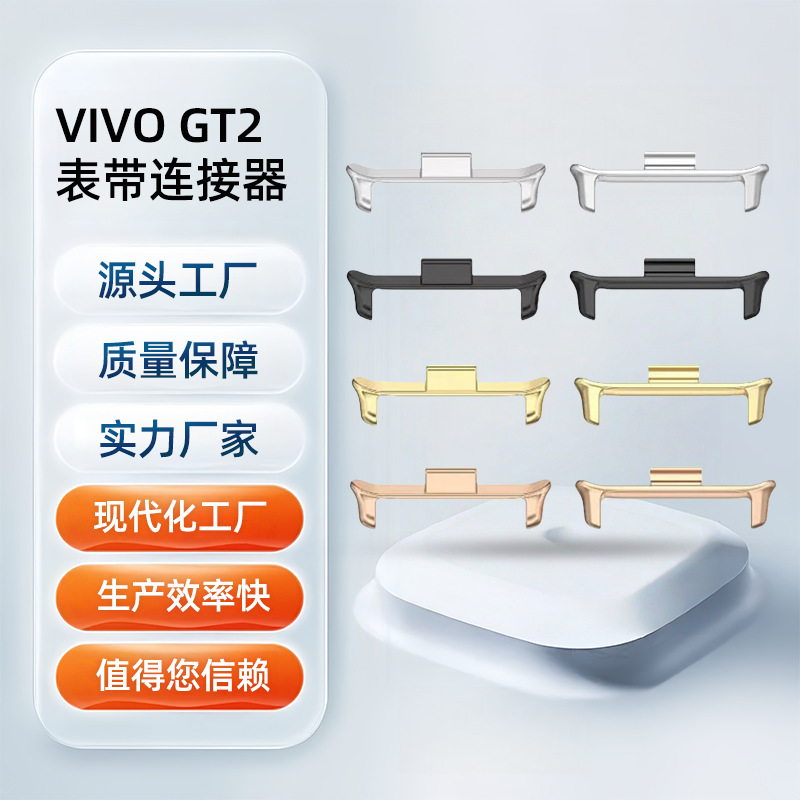 Source Factory Spot Suitable for Vivo Gt2 Watch Strap Zinc Alloy Metal Head