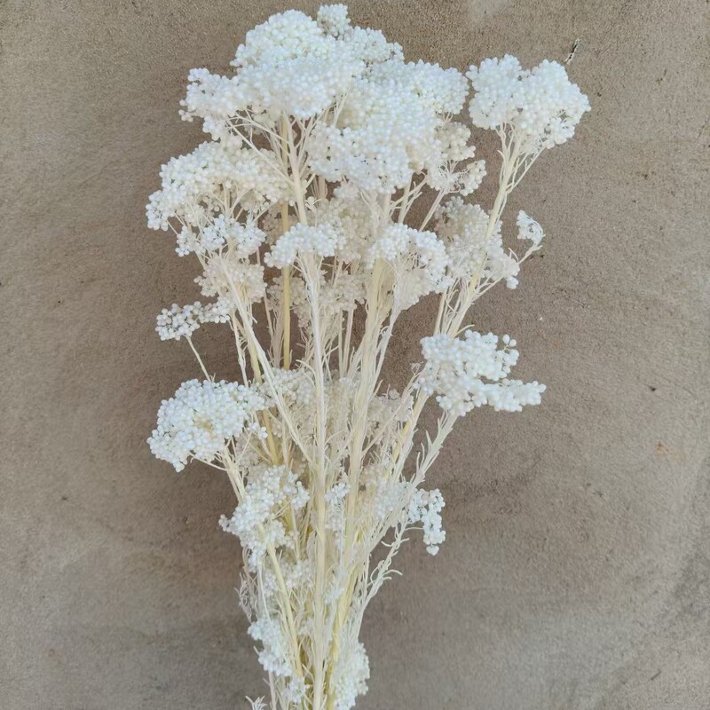 Preserved Flower Dried Millet Flower Bouquet DIY Photo Frame Material Kit Embossed Flowers