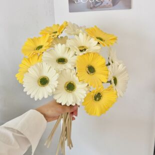 PU���޾շ��滨���ʾռҾӿ͏d�b�c�Ƶ�ܛ�b�廨���ÿ羳���N